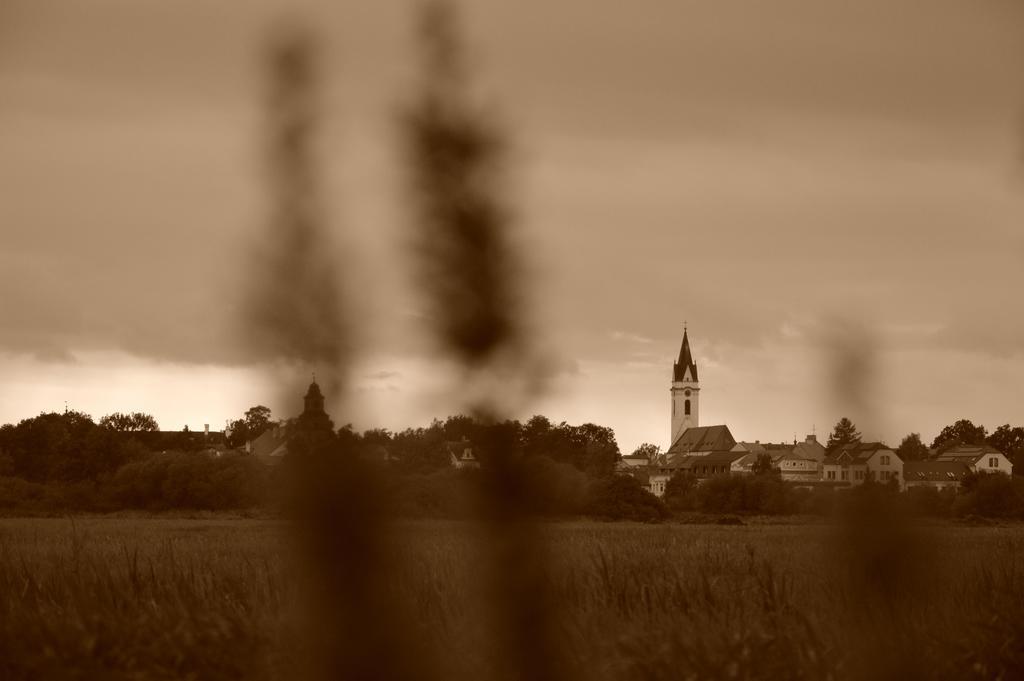 Studio 37 Třeboň Pokoj fotografie